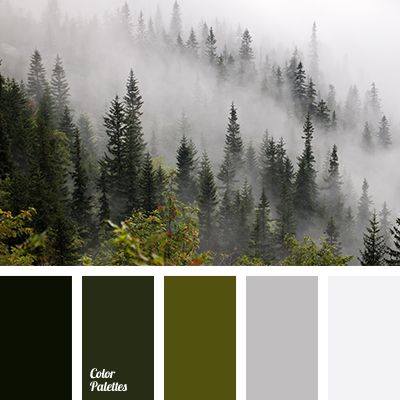 color matching, dark green, gray color, misty forest colors, mountains fog color, olive, pale gray, shades of green, winter color combination, winter fog color, winter palette 2016. Flat Bedroom, In Color Balance, Color Palette Ideas, Forest Color, Palette Ideas, Green Color Schemes, Fitness Design, Color Balance, Living Room Bathroom