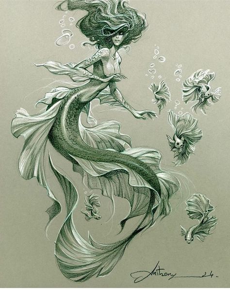 Mermaid Black And White Drawing, Mermaid Mythology Art, Siren Mythology Art, Sea Serpent Mermaid, Virgo Mermaid Tattoo, Mermaid Drawing Poses, Water Mythical Creatures, Siren Anatomy, Siren Concept Art