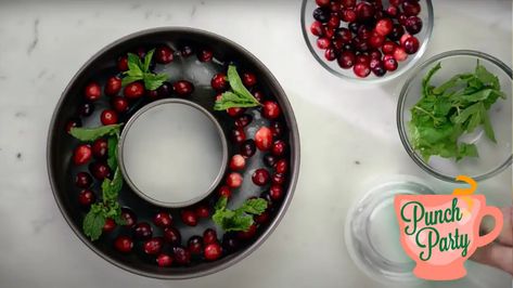 How to make an ice ring for your punch bowl Punch Bowl Drinks, Iced Tea Punch, Punch Party, Wine App, Sangria Punch, Flavored Ice Cubes, Ice Ring, Ice Bowl, Holiday Punch