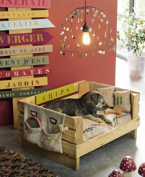 Mobili con pallet - Cuccia per cane con pallet Pallet Dog Beds, Pallet Wall Shelves, Diy Dog Bed, Wooden Pallet Furniture, Ideal Toys, Dog Furniture, Diy Pallet Projects, Wooden Pallets, Dog Houses