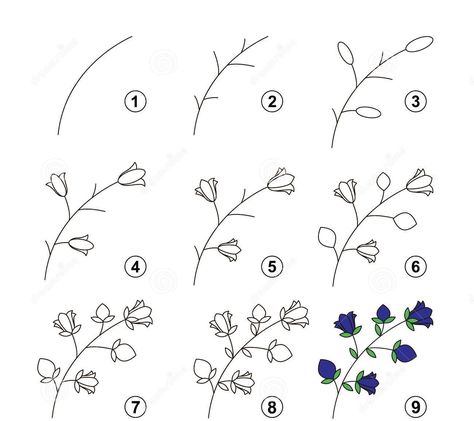 Hur Man Ritar Blommor, Trin For Trin Tegning, How To Draw Flowers, Drawing Instructions, Flower Step By Step, Botanical Line Drawing, Draw Flowers, Flower Drawing Tutorials, Contour Drawing