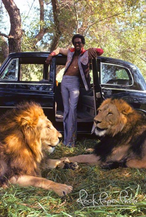 DAVID RUFFIN David Ruffin Temptations, David Ruffin, American Room, Disco Birthday, True Roots, Male Singers, Black Glamour, Soul Singers, Vintage Black Glamour