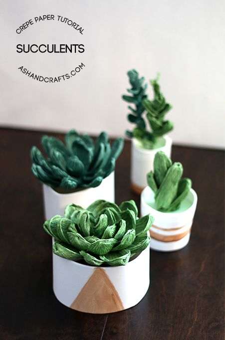 I can't believe these gorgeous succulents are made using crepe paper!! Amazing!! Crepe Paper Succulent Tutorial on ashandcrafts.com Crepe Paper Crafts, Paper Succulents, Indie Craft, Paper Peonies, Paper Plants, Paper Flower Crafts, How To Make Paper Flowers, Crepe Paper Flowers, Paper Flower Bouquet