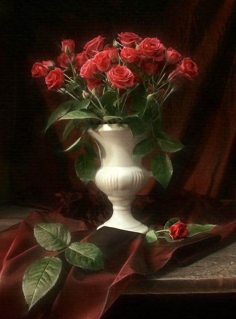 Red Roses In Vase, Roses In Vase, Dark Red Roses, Beautiful Red Roses, Rose Vase, Watercolor Flower Art, Art Poses, Still Life Painting, Still Life Photography