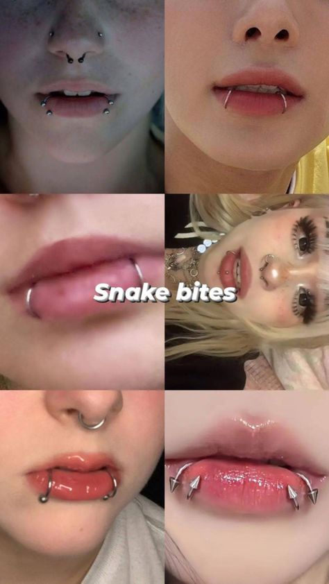 Piercing Piercings Ideas Face, Piercing Inspo Face, Piercings Ideas, Cute Nose Piercings, Piercing Chart, Piercing Inspo, Cool Ear Piercings, Pretty Ear Piercings, Face Piercings