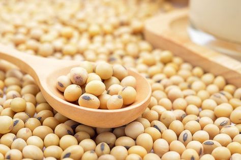 Dried soybeans are an inexpensive and convenient staple to keep on hand. Because dried soy beans take a while to cook, meal prepping is an option that will allow you to use... Sup Ayam, Gmo Foods, Soy Beans, Soya Bean, Complete Protein, Soy Products, Healthy Recipe Videos, Soy Protein, Natural Health Remedies