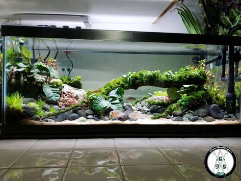 20 gal long Long Aquarium, 125 Gallon Aquascape, 20 Gallon Long Aquascape, 29 Gallon Aquascape, 20 Gallon Long Aquarium, Fluval Flex 9 Gallon Aquascape, Aquarium Garden, Tank Plants, Fish Tank Plants