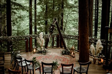 Redwood Deck, Hoyt Arboretum, Redwood Decking, Witch Wedding, Oregon Coast Wedding, Redwood Wedding, Forest Theme Wedding, Boho Elopement, Wedding Party Flowers