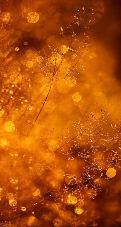 Orange Gold Aesthetic, Amber Wallpaper Aesthetic, Burnt Yellow Aesthetic, Honey Color Aesthetic, Orange Fairy Aesthetic, Orange Magic Aesthetic, Deep Yellow Aesthetic, Amber Core Aesthetics, Amber Color Aesthetic