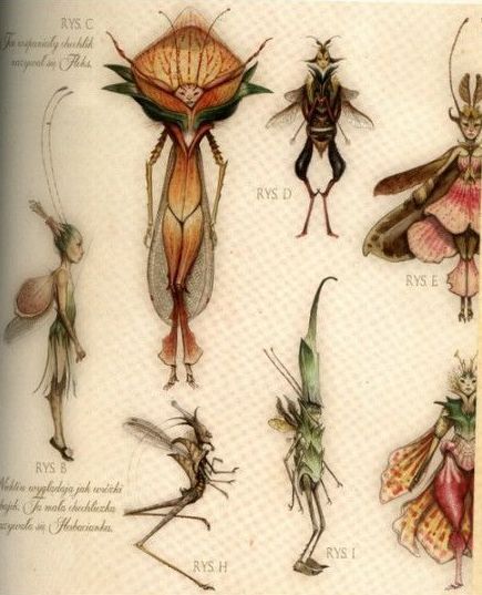 Brian Froud - Insect Fairies Arthur Spiderwick, Mallory Grace, The Spiderwick Chronicles, Tony Diterlizzi, Spiderwick Chronicles, Fantasy Map Making, Personal Journal, Legends And Myths, Witch Magic