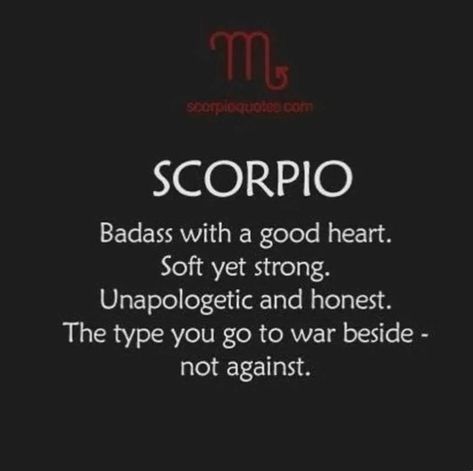 Scorpion Quotes, Zodiac Quotes Scorpio, Zodiac Sign Scorpio, Astrology Scorpio, Scorpio Traits, Scorpio Love, Scorpio Zodiac Facts, Scorpio Quotes, Zodiac Signs Scorpio