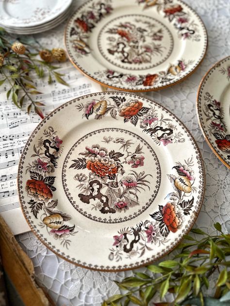 Antique Transferware Wedgwood Brown Transferware Bullfinch Brown 1880’s Rare Pattern A1620 Colonial Aesthetic, Modern Colonial, Brown Transferware, Bullfinch, Antique Plates, Collections Etc, White Elephant, Shades Of Pink, Collectable Plates