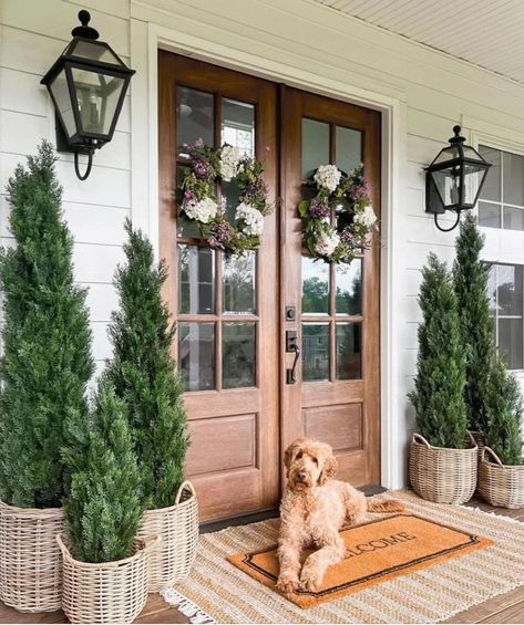 Porch Topiary, Florida Home Decorating, Faux Outdoor Plants, Porch Trees, Outdoor Topiary, Potted Christmas Trees, Faux Christmas Trees, Porch Plants, Cedar Tree