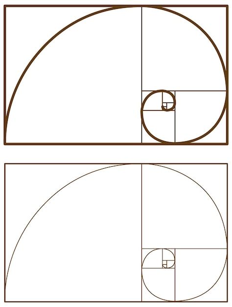 Fibonacci Sequence Art, Fibonacci Sequence, Png Aesthetic, Vector Photo, Sacred Geometry, Geometry, Graphic Resources, Vector Free, Art