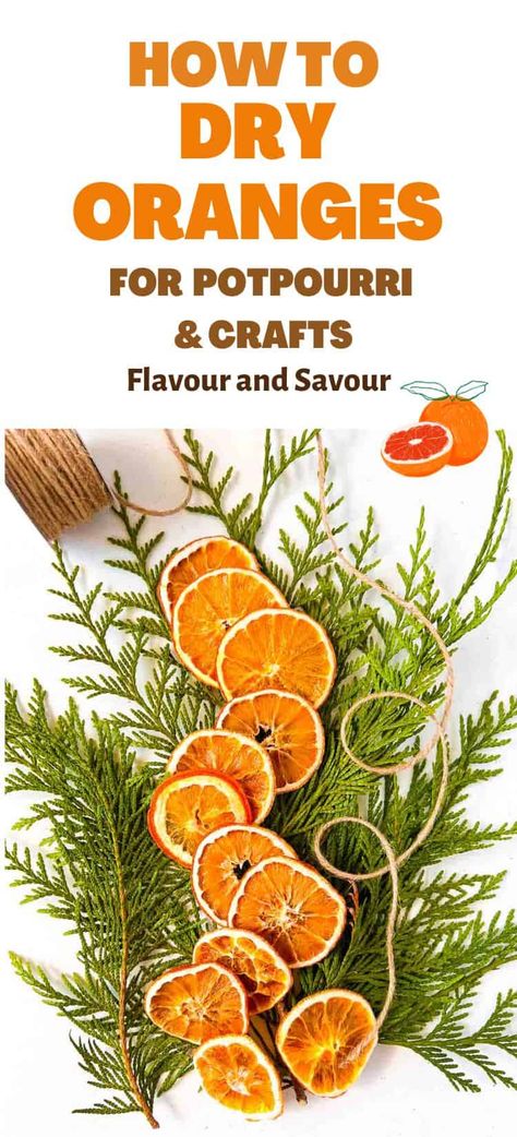 Easy instructions for how to dry orange slices for potpourri, garlands, wreaths, centerpieces or even cocktail garnishes! This post describes how to dry oranges in the oven or in a dehydrator. Homemade Kitchen Gifts, Drying Oranges, Dry Orange Slices, Dry Oranges, Orange Potpourri, Dried Orange Garland, Cocktail Garnishes, Dried Potpourri, Orange Baking