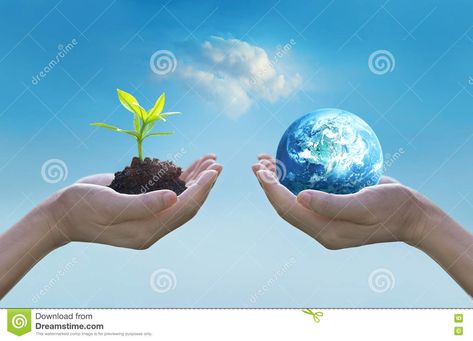 Photo about Holding earth and green tree in hands, world environment day concept, saving growing young tree, Element of this image furnished by NASA. Image of growth, health, corporate - 74844293 Earth Science Classroom, Earth Science Experiments, Constellation Activities, Earth Science Projects, Earth Science Activities, Earth Science Lessons, Space Activities For Kids, Sumber Daya Alam, Space Activities