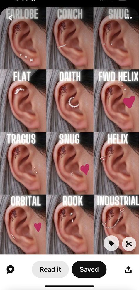 All Ear Piercings Chart Labeled, Ear Piercings Chart Labeled, Labeled Ear Piercing Diagram, Ear Pricing Ideas, Piercing Chart Face, What Ear Piercing Should I Get, Ear Piercing Placement Chart Names, What Piercing Should I Get, Ear Piercings Labeled