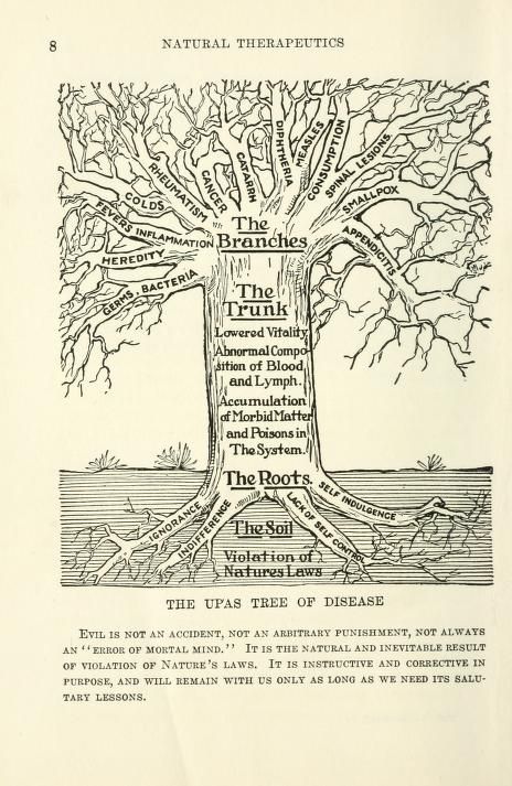 Philosophy of natural therapeutics : Lindlahr, Henry, 1862-1924 : Free Download, Borrow, and Streaming : Internet Archive Archive Books, Internet Archive, The Borrowers, Philosophy, Vintage World Maps, Free Download, Health, Nature