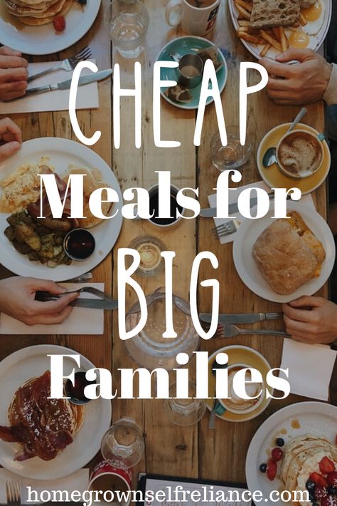 Cheap Large Family Meals, Meals For Big Families, Large Family Dinner Ideas, Large Family Dinner, Quick Cheap Dinners, Cheap Meal Plans, Great Dinner Ideas, Big Family Meals, Big Family Dinner