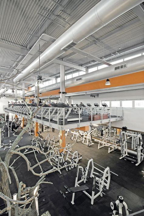 Gallery of Vy Gym / Symbiosis Designs LTD - 10 Gym Plan Architecture, Gym Plan For Women, Fitness Center Design, Warehouse Gym, Gym Plans, Gym Lighting, Gym Center, Dream Gym, Gym Design Interior