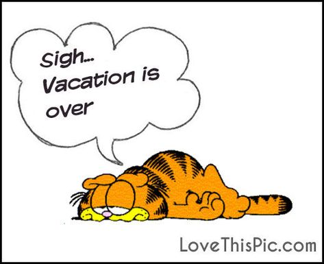 Sigh Vacation Is Over quotes quote garfield vacation quotes garfield quotes… Vacation Is Over Quotes, Vacation Over Quotes, Over Quotes, Vacation Quotes Funny, Garfield Quotes, Garfield Wallpaper, Summer Beach Quotes, Cruise Quotes, Funny Vacation