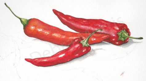 work in progress, not sure whether to paint the little peppers or not Watercolour Vegetables, Chilli Art, Sriracha Sauce Recipe, Vegetables Watercolor, Food Alphabet, Vegetable Drawing, Veggie Art, Loose Watercolor Flowers, Fruit Clipart