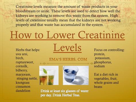 How to lower creatinine levels Lower Creatinine Levels, Foods Good For Kidneys, Kidney Detox Cleanse, Creatinine Levels, Kidney Detox, Kidney Recipes, Healthy Kidneys, Kidney Diet, Renal Diet