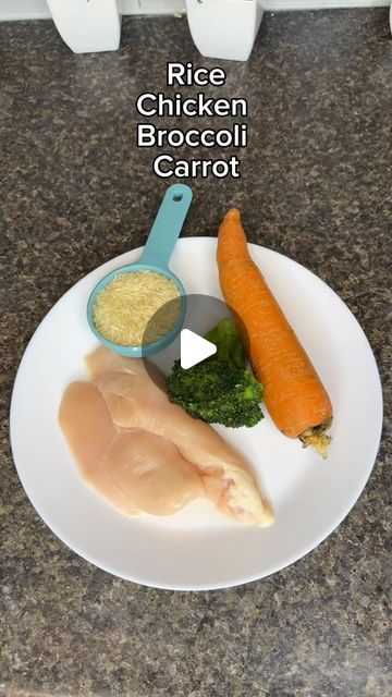 Baby Led Weaning Recipes, Healthy Baby Food, Baby Puree Recipes, Baby Puree, Baby Plates, Homemade Baby Food, Pureed Food Recipes, Chicken Broccoli, How To Store