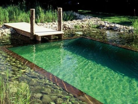 piscine-naturelle-main- Shipping Container Swimming Pool, Backyard Decorating, Container Pool, Natural Swimming Ponds, Swimming Pond, Natural Swimming Pools, Natural Swimming Pool, Diy Pool, Dream Pools