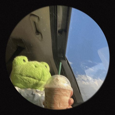 Cute Frog Profile Pic, Green Profile Aesthetic, Frog Pfp Funny, Spotify Account Profile Pic, Weird Dp For Instagram, Frog Aesthetic Pfp, Weird Profile Pics, Frog Profile Picture, Cute Frog Pfp