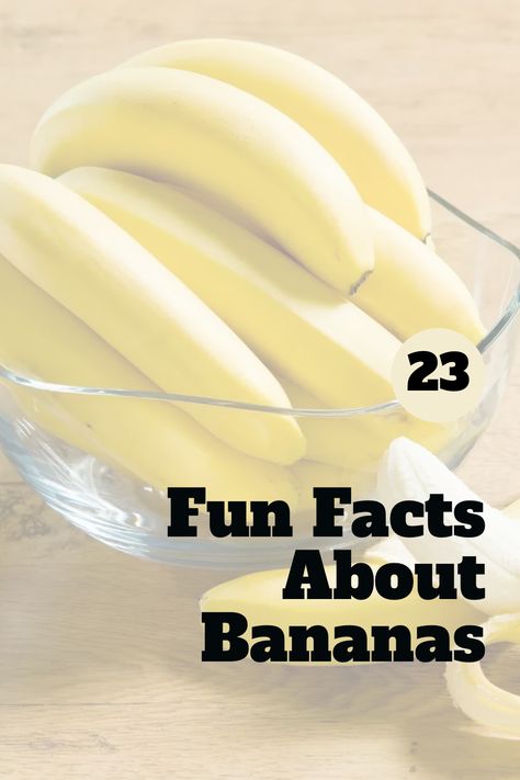 It's safe to say that bananas are one of the most iconic and beloved fruits around. But how much do you really know about the yellow fruit? From their surprising health benefits to their role in history and culture, here are 23 things you didn't know about bananas. Banana Day Activities, Banana Facts, Benefits Of Bananas, Banana Benefits, Eating Bananas, Physical Activities For Kids, Banana Fruit, Yellow Fruit, Banana Plants