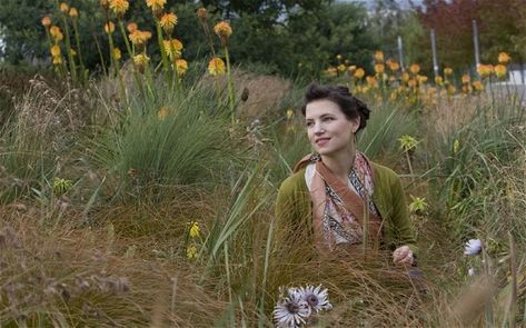 Sustainable Planting, Wildflower Borders, Naturalistic Planting, Sarah Price, Naturalistic Garden, Prairie Garden, Meadow Garden, Short Plants, Most Beautiful Gardens