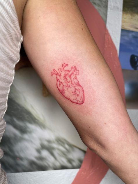 By Olli Ink Human Heart Tattoo, Realistic Heart Tattoo, Dm Tattoo, Heart Organ, Red Heart Tattoos, See Tattoo, Anatomical Heart Tattoo, Small Heart Tattoos, Tattoo Heart