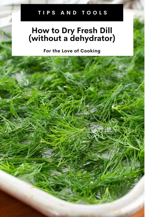 Have extra fresh dill? Learn how to dry it in the oven. #howtodryherbs #driedherbs #Dill #spices #ovendriedherbs #harvestingherbs #freshdill How To Harvest Dill Fresh Herbs, Growing Dill, Dill Pickle Recipes, Dill Herb, Making Dill Pickles, Mason Jar Gifts Recipes, Preserve Fresh Herbs, Pickles Recipes, Drying Fresh Herbs