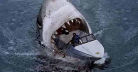 Jason Statham's 2018 movie may be a work of fiction, but there is a real-life monster behind The Meg: the 60-foot-long prehistoric sea creature known as the me... Shark Megalodon, Shark Eating, The Meg, Cool Sharks, Shark Pictures, Big Shark, Megalodon Shark, Battlefield 4, Shark Fishing