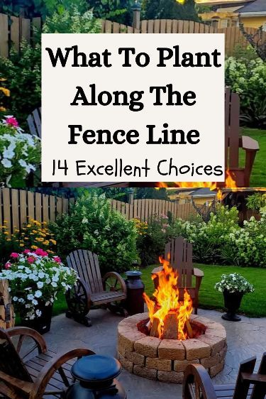 Looking to add some color to your yard? Discover the best plants and flowers to plant along the fence line that will bring vibrancy and beauty to your outdoor space. Read on for inspiration and tips on how to enhance your landscape. Flowers To Plant, Small Yard Landscaping, Backyard Garden Landscape, Best Plants, Garden Yard Ideas, Backyard Garden Design, Plants And Flowers, Backyard Makeover, The Fence