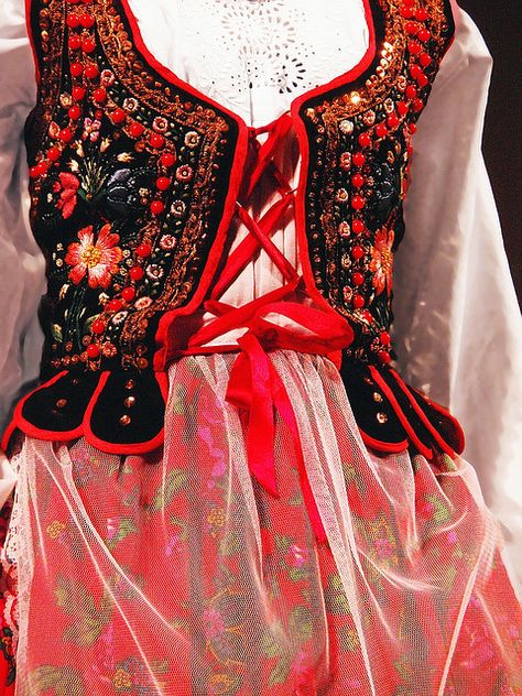 Traditional Polish dress (detail) Polish Traditional Costume, Polish Embroidery, Polish Dress, Polish Clothing, Polish Traditions, Folk Clothing, Folk Dresses, Ethnic Outfits, Folk Fashion