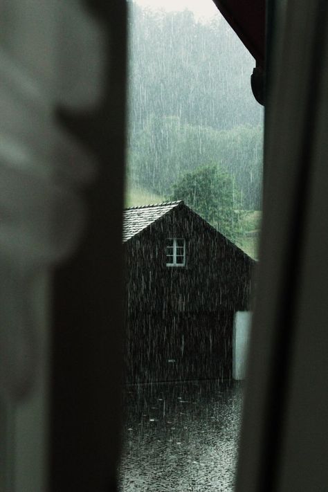 25+ best ideas about Rainy Day Images on Pinterest | Rain ... A Well Traveled Woman, Through A Window, I Love Rain, Love Rain, Singing In The Rain, Rainy Night, When It Rains, Dancing In The Rain, Pics Art