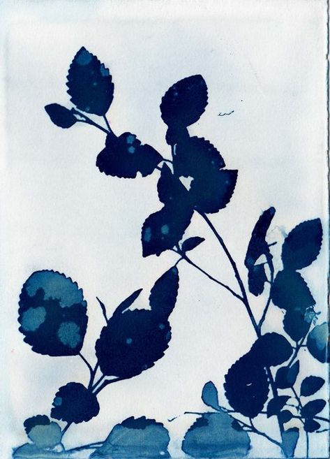 Breaking The Rules: Non Traditional Cyanotype Imagery — Krista McCurdy Cyanotype Printing, Cyanotype Process, Moroccan Print, Sun Prints, Breaking The Rules, Alternative Photography, Artfully Walls, Watercolor Sky, Space Painting