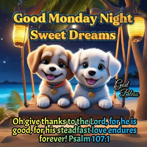 Monday Evening Quotes, Good Night Cats Sweet Dreams, Good Night Kitty Sweet Dreams, Good Night Meme Funny, Good Evening Memes Funny, Good Morning Poems, Psalm 107 1, Goodnight Quotes Inspirational, Evening Quotes