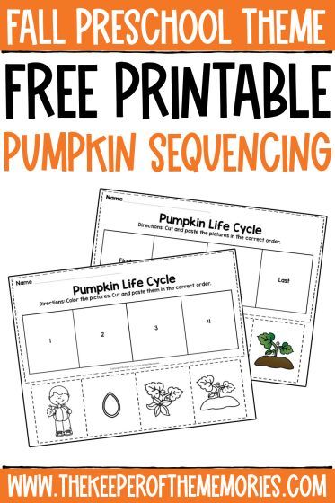 Use these Free Printable Pumpkin Life Cycle Sequencing Worksheets to practice life cycles, sequencing, and fine motor skills with your preschoolers and kindergartners. Grab your no-prep printable sequencing worksheets today! #pumpkin #lifecycle #fall Life Cycles Preschool, November Lesson Plans, Autumn Preschool Theme, Apple Picking Fall, Fall Lesson Plans, Pumpkin Life Cycle, Thanksgiving Worksheets, Sequencing Worksheets, Life Cycles Activities