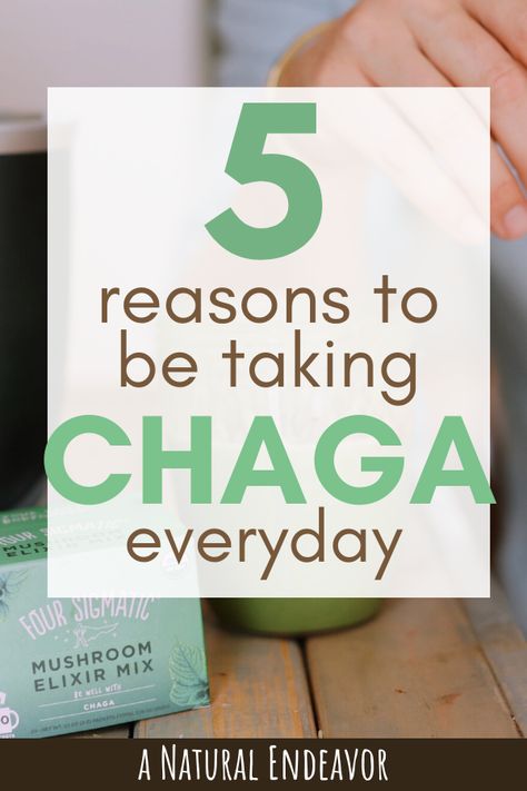 Chaga Benefits, Chaga Mushroom Benefits, Mushroom Health Benefits, Benefits Of Mushrooms, Health Benefits Of Mushrooms, Reishi Mushrooms, Four Sigmatic, Mushroom Benefits, Natural Face Cleanser