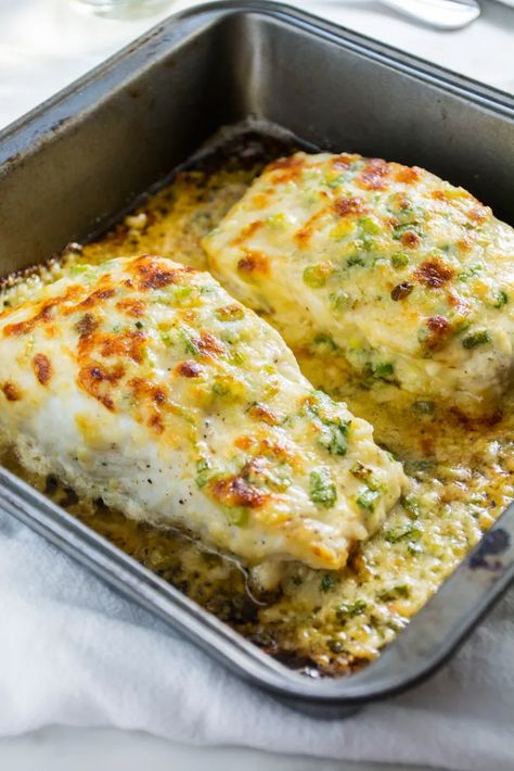 Parmesan Halibut, Baked Halibut, Seafood Sandwiches, Fish Recipes Baked, Halibut Recipes, Fish Dinner Recipes, Salad Pasta, Fish Recipes Healthy, Fish Dinner