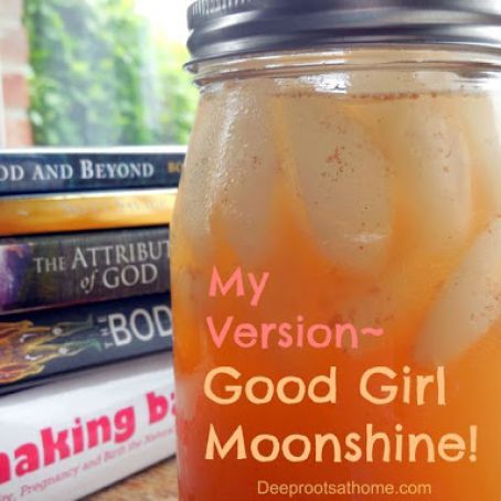 Good Girl Moonshine, Trim Healthy Mama Drinks, Switchel Recipe, Trim Healthy Mama Recipe, Trim Healthy Momma, Raw Apple Cider Vinegar, Moon Shine, Ginger Powder, Trim Healthy Mama Recipes