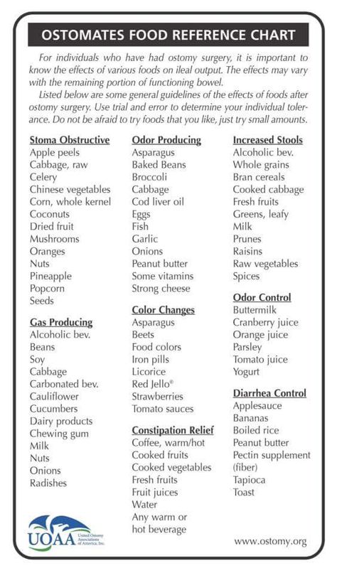 Ostomy Nursing, Ostomy Life, Ostomy Care, Low Fiber Diet, Ostomy Bag, Food Chart, Cooked Cabbage, Reference Chart, Gut Healing