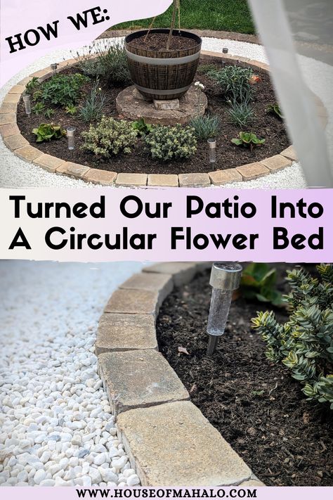 Read on to find out how we turned our patio into a circular flower bed on a budget and completely by ourselves! Circular Flower Bed Ideas, Circular Flower Bed, Garden Diy On A Budget, Circular Patio, Budget Garden, Round Flower, Diy Garden Projects, Flower Bed, Bulb Flowers