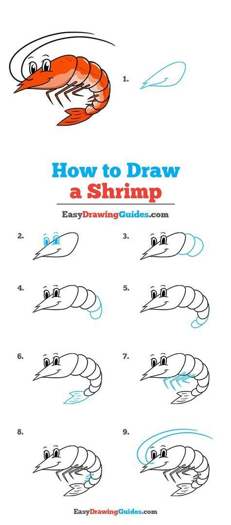 Shrimp Drawing Lesson. Free Online Drawing Tutorial for Kids. Get the Free Printable Step by Step Drawing Instructions on https://easydrawingguides.com/how-to-draw-a-shrimp/ . #Shrimp… How To Draw A Shrimp, Shrimp Drawing Simple, Shrimp Drawing, Tiny Drawings, Cartoon Sea Animals, Shell Painting, Drawing Guides, Easy Animals, Easy Drawing Tutorial