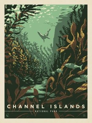 Kenneth Crane Collection | Anderson Design Group American National Parks, Channel Islands National Park, Anderson Design Group, Colorado Artists, Canvas Banner, Vintage Poster Design, Nature Posters, National Park Posters, Channel Islands