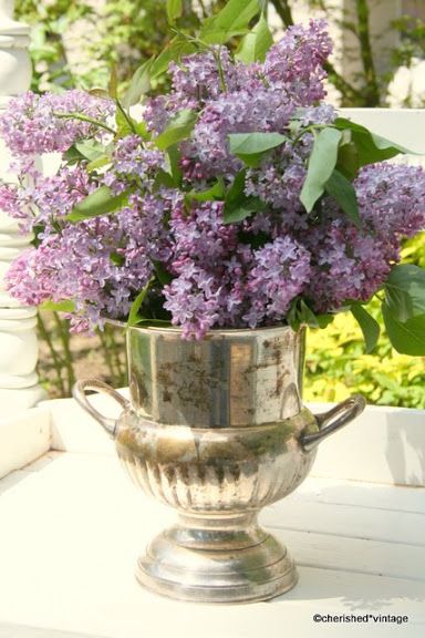 Bucket Decor, Silver Ice Bucket, Lilac Bouquet, Champagne Bucket, Champagne Buckets, Lilac Flowers, Vintage Tablecloths, Arte Floral, Ice Bucket