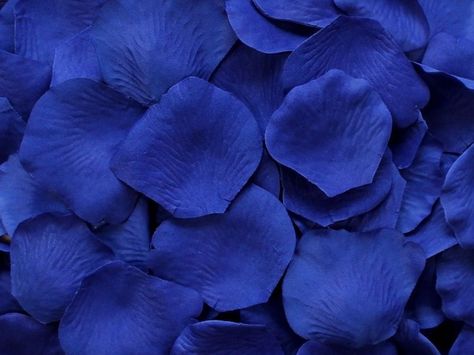 Wedding Centerpieces Cheap, Purple Wedding Flowers Centerpieces, Blue Rose Petals, Rose Petal Aisle, Fake Rose Petals, Cheap Wedding Centerpieces, Flower Girl Petals, Silk Rose Petals, Royal Blue Wedding